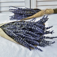 Bunga Lavender Kering Alami Berkualitas Tinggi Harga Grosir 30cm+ untuk Hari Ibu Natal Thanksgiving Valentine