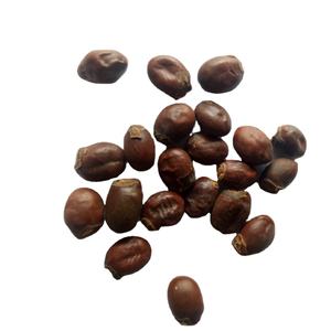 Medicamento de Ervas Cruas Li Zhi He, Sementes de Litchi Chinensis Secas à Venda - Product Image 2