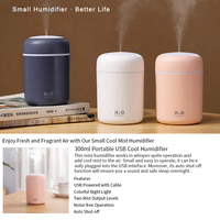 Humidificateur nano petit et coloré à grand brouillard, avec minuterie et pulvérisation automatique, pour le bureau et la maison