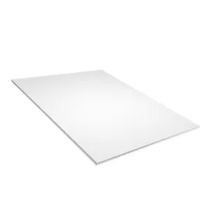 Fazendo Linha De Máquina Oem/odm Atacado Tamanho 96X96 3mm 6mm 12mm Preço Amarelo Pp Corrugado Twin Wall Plastic Sheet Board