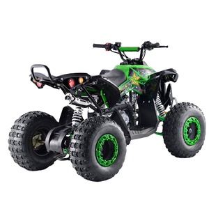 Cuatrimoto de Gasolina de <span class=keywords><strong>Dos</strong></span> <span class=keywords><strong>Tiempos</strong></span> de 110cc 125cc con Certificación CE para Adolescentes - Product Image 3
