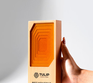 Nuevo Trofeo Conmemorativo de Alta Gama 2026, Elegante Medalla de Honor Creativa, Trofeo de Campeón Personalizado en Madera de Haya con Diseño Gratuito - Product Image 6