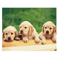 Olieverfschilderij Dier Thema Drie Schattige Kleine Honden Verf Door Getallen Foto Canvas Art Wall Art Decoratief Schilderen Op Canvas
