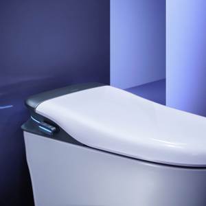 Роскошный автоматический унитаз со стрелкой и биде - Product Image 5