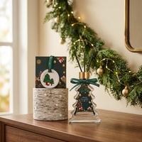 Ensemble cadeau diffuseur à bâtonnets Eno OEM Arbre de Noël, en verre transparent, parfum d'ambiance pour la maison, ornement en céramique, base en bouleau, décoration de fêtes