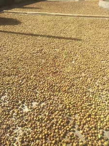 Food Grade Pure <strong>Camellia</strong> Seed <strong>Oil</strong> Crude Processed From Natural <strong>Camellia</strong> Oleifera Seeds Wholesale Supply for Cosmetics Use - Product Image 3