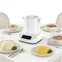 Mélangeur de fufu et d'igname de qualité supérieure, robuste, neuf, pour la cuisine et le pilonnage, machine à mélanger, mixeur, processeur pour usage commercial