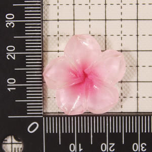 Vente en gros 100 pièces perles de résine Plumeria <span class=keywords><strong>Rubra</strong></span> colorées écologiques bricolage résine artisanat coque de téléphone Scrapbooking décoration - Product Image 5