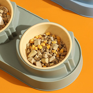 Ciotole Doppie per Animali Domestici, Dispenser di Cibo e Acqua in Acciaio Inox, Accessori per Cani e Gatti - Product Image 4