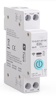 Interrupteur intelligent Wi-Fi Graffiti DC 63A 90-240V, 2 voies, montage sur rail DIN, compatible Alexa, application smartphone, système de maison intelligente, fabriqué en Chine