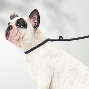 Chất lượng cao Pet Dog Leash Rope nylon có thể điều chỉnh đào tạo Dây đeo chì vật nuôi cổ áo với nhau Rope Dog Leash - Product Image 3