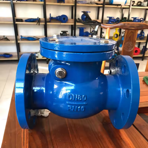 Válvula de Retención de Columpio de Hierro Dúctil GG50/GG25 con Brida DIN DN50 DN100 PN16 PN10 - Product Image 4