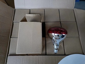 Bán chạy nhất E26 E27 <span class=keywords><strong>100W</strong></span> 150W 200W 250W 275W đèn sợi đốt nhiệt R80 R95 R125 cho động vật - Product Image 6