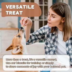 Oem/odm חיית מחמד מטפלת בחלבון גבוהה הקפאה מיובשת חלמון & קוביה חמוציות חתול & כלב חטיפי ביסקוויטים חטיפים להתייבש עבור חיות מחמד - Product Image 4