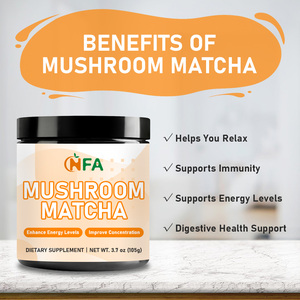 Polvo de Matcha con Extracto de 10 Hongos a Precio de Mayoreo, Mejora la Concentración y la Memoria, y Promueve la Salud Intestinal - Product Image 2