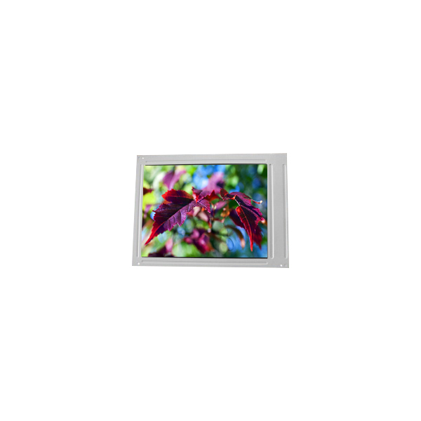 LM100SS1T562 LCD PANEL STN Normally Black 10.0 Inch 800(RGB)*600 SVGA 99PPI 120Hz New Original Lcd Screen Display