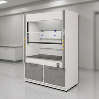 Hotte de laboratoire à conduit intégré en acier avec plan de travail en résine époxy, pour laboratoire de microbiologie hospitalier