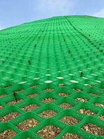 Настраиваемые геоячейки из HDPE для подпорных стен |   Множество спецификаций: высота, расстояние между сварными швами, цвет по запросу.