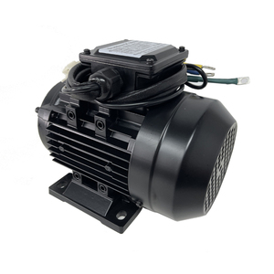 BLDC 48V 60V 72V 3000W Permanent Magnet Motor with Worm <b>Gear</b> <b>Box</b> for Home Appliance & Electric Bicycle - Product Image 4