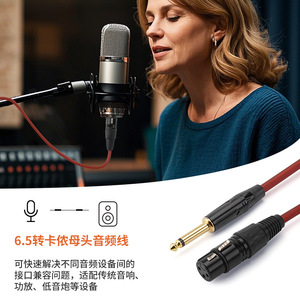 Yu Yang 6.5mm To Xlr Female Audio <b>Cable</b> 1.5m For <b>Microphone</b> Recording Studio Use - Product Image 1