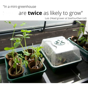 Fila <span class=keywords><strong>de</strong></span> herramientas para jardín <span class=keywords><strong>de</strong></span> verduras, juego <span class=keywords><strong>de</strong></span> herramientas <span class=keywords><strong>de</strong></span> decoración para jardín - Product Image 6