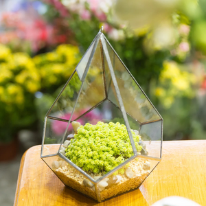 Handgemachte kreative Silber Teardrop Form geometrische Glas <span class=keywords><strong>Terrarium</strong></span> für saftige Moos Farn Pflanzen Halter Tabletop Display - Product Image 4
