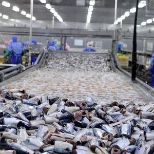 Ligne de production industrielle de conserves de poisson machine de traitement de poisson en conserve différentes lignes d'emballage de poisson remplissage de thon - Product Image 5