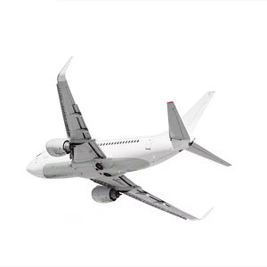 คลับสะสมคะแนนการขนส่งทางอากาศแบบ DDP ในตะวันออกกลาง: รางวัลพิเศษและสัญญาการจัดส่งที่รวดเร็ว - Product Image 4