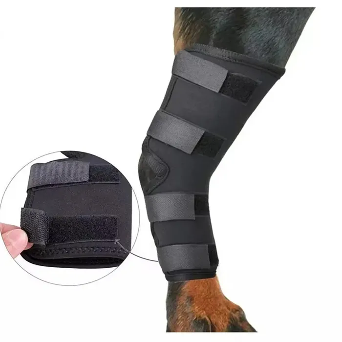 Attelle de genou canine pour chien, support flexible à charnière en métal, protège-genou pour entorse de ligament