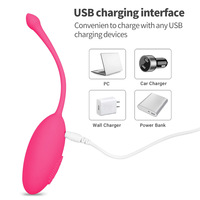 Drahtlose Fernbedienung Vibrierendes Ei Leistungs starkes G-Punkt-Kugel vibrator Klitoris-Stimulator Liebes-Ei Erwachsene Sexy Spielzeug für Paare