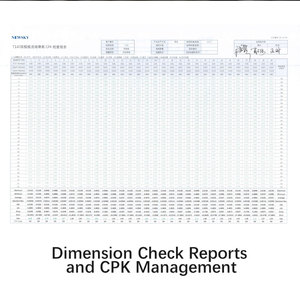 ニュースカイ15年の経験に基づく、カスタマイズされた低価格の板金プレス加工用金型、インモールドタッピング装置付き - Product Image 5