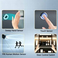 Interruptor Táctil Inteligente AC220V de Fábrica OEM, Encendido/Apagado Automático, Controlador de Luz LED para Muebles de Hogar, Armario, Gabinete