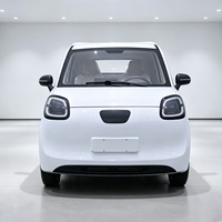 Véhicule électrique à quatre roues blanc, véhicule de mobilité domestique, camionnette électrique pure à énergie nouvelle de Chine