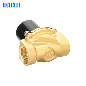 Valvola Solenoide Elettrica in Ottone Serie 2W a 2 Vie per Alta Temperatura, 1/4in-2in, Normalmente Chiusa, per DC12V 24V AC110V 220V - Product Image 4