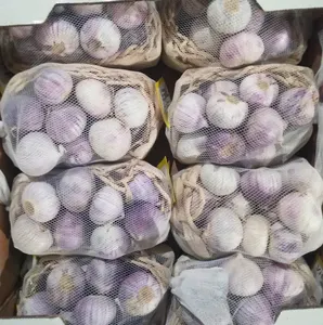 Venta caliente China Organic 2,5-3,5 cm Solo Ajo para venta al por mayor con GLOBAL GAP 2023 Nuevo Ajo púrpura no pelado exportación con GAP