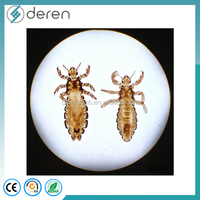 Medical Parasitology Glass Microscope Prepared Slides for Zoology Parasite Teaching-Deren DRPR