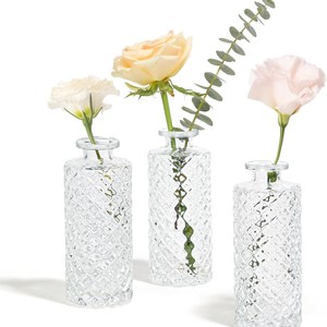 Fleurs hydroponiques de style moderne plante verte décoration de table de mariage de petite taille <span class=keywords><strong>vase</strong></span> en verre transparent simple - Product Image 4