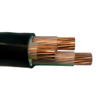 Cable de Alimentación Revestido de Fabricante de Cables, Armadura de Banda de Acero, Baja Tensión 0.6/1kv, 3 4 5 Núcleos, Minería Subterránea, Túnel Industrial