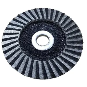 Sliver for Ceramic and Glass Abrasive Disc Diamond Flap Disc and Silicon Carbide 100x16mm Hole