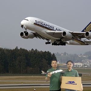 Livraison rapide la moins chère DDP Amazon FBA AirShipping Freight Forwarding Chine vers Canada États-Unis Émirats arabes unis Dubaï Australie Europe - Product Image 3