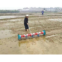 Machine à planter le riz pour usage agricole / Transplanteur de riz / Semoir à tambour pour riz