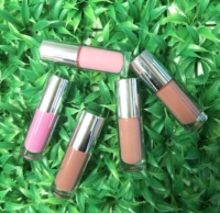 Teinture à lèvres de marque privée Exquisite Cosmetics, haute pigmentation, tube argenté, gloss à lèvres liquide