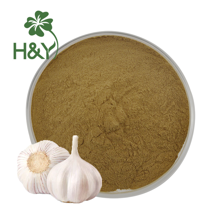 Wholesale Fresh Garlic Extract