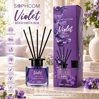 Diffuseur de parfum d'ambiance en gros, bouteille en verre, bâtonnets en fibre, fournisseur d'arômes, usine, logo personnalisé, approvisionnement en vrac
