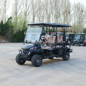 Shininglsv New Model <strong>Custom</strong> Electric Vehicle Utility Off-road Lithium Battery Cool Street Legal <strong>Golf</strong> <strong>Carts</strong> - Product Image 4