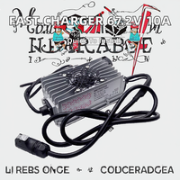 Chargeur rapide 60V 10A certifié CE pour Segway Dirt EBike X260/Sur-Ron X/Surron Light Bee X, scooter électrique étanche