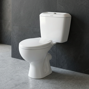 WC en céramique de luxe doré, de haute qualité, à siphon, deux pièces, pour salle de bain, fabriqué en Inde - Product Image 3