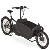 Triciclo elétrico popular da ue, triciclo elétrico de três rodas/48 v bateria de lítio com pedal/1000 watts triciclo elétrico de carga