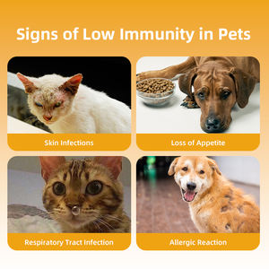 Suplementos de apoio a alergias para cães e gatos Alívio eficaz para Pet Itch Qualidade Pet Health Care Supplements - Product Image 3