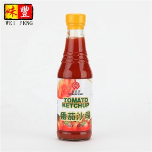 OEM Manufacturer Glass or Plastic Bottle Tomato Ketchup <strong>Sauce</strong> for Dipping - Product Image 2